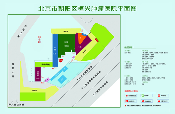 操逼视频吃阴茎中国网站北京市朝阳区桓兴肿瘤医院平面图